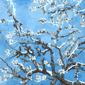 无套女疯狂被躁出白浆
