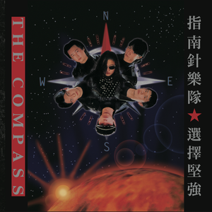 无套女疯狂被躁出白浆
